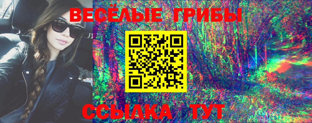 Галлюциногенные грибы Cubensis  Вход с VPN  Кисловодск 